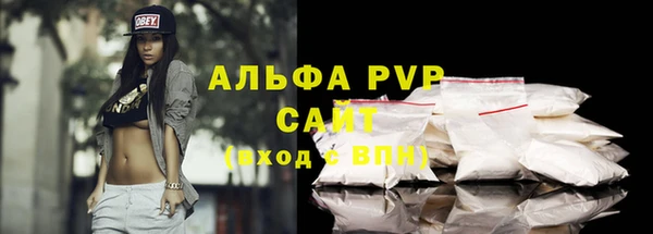 стафф Козловка