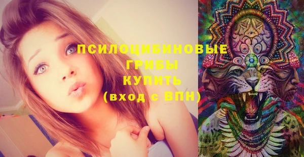 стаф Краснослободск