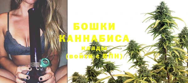 стафф Козловка